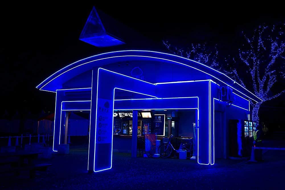 110V LED Neon Rope Lights Blue