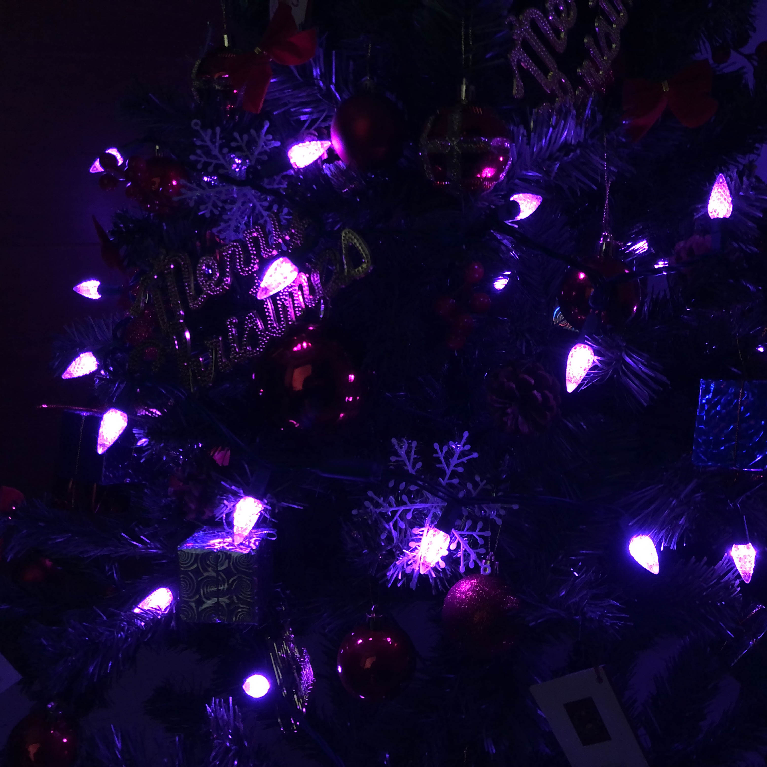 C6 Strawberry LED String Lights UL Purple Light Set