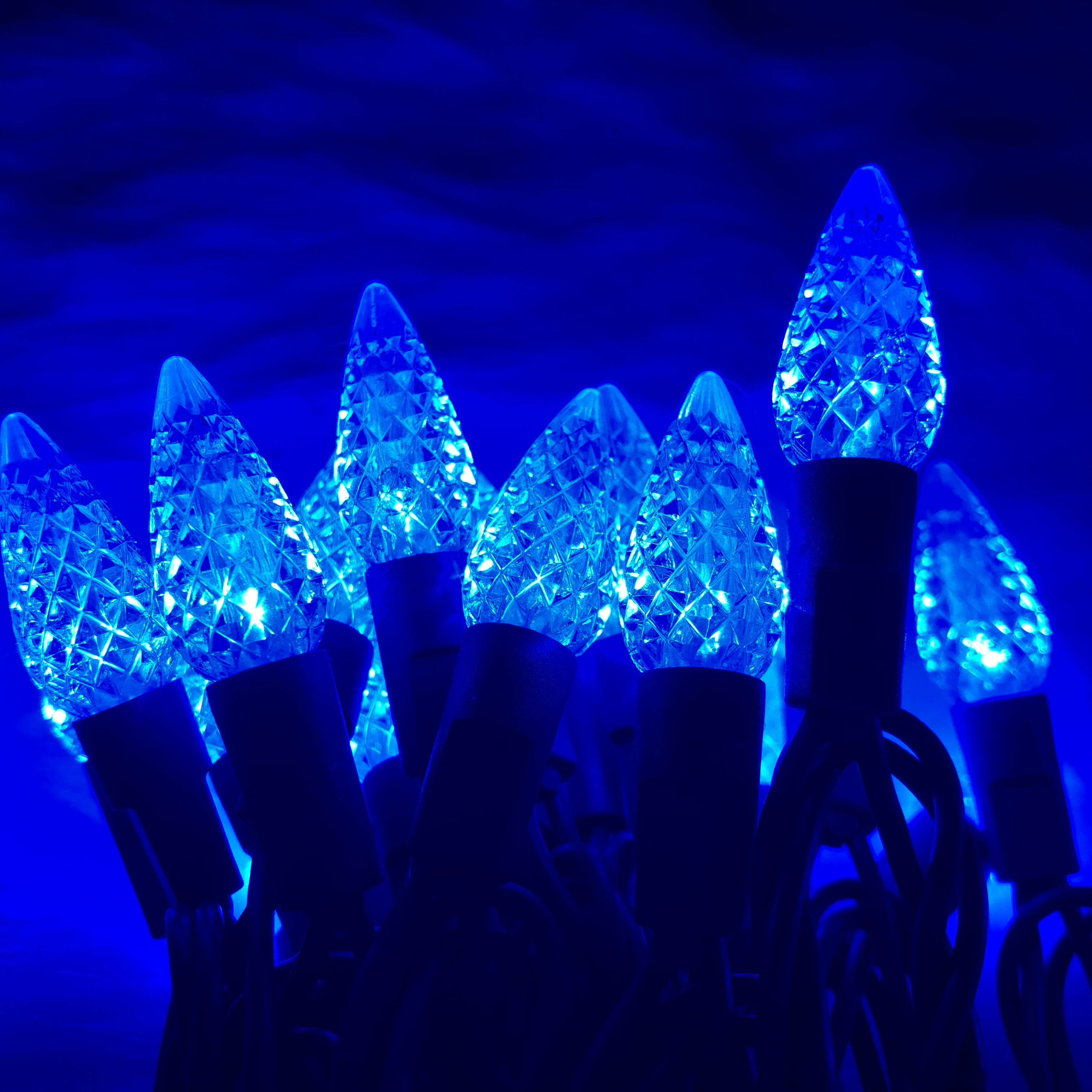 C6 Strawberry LED String Lights Blue Christmas String Light UL Waterproof